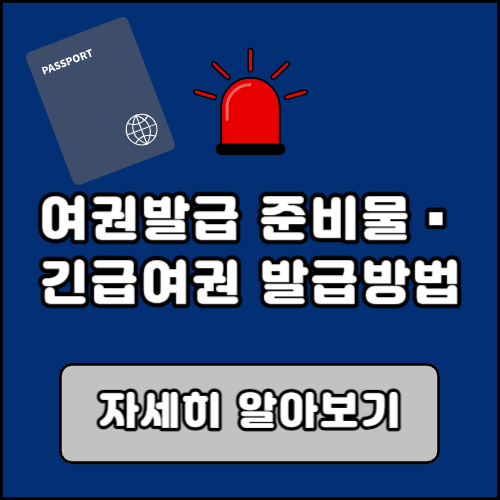 예외적 여권 자동출입국심사 서비스